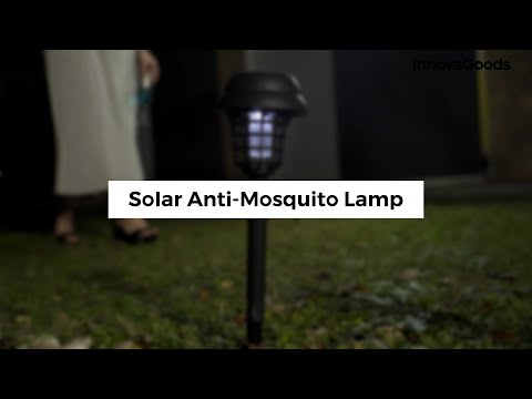 Solar light 